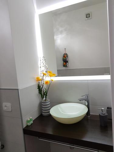 B&B Stella Maggiore