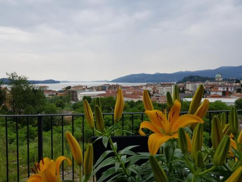 B&B Stella Maggiore