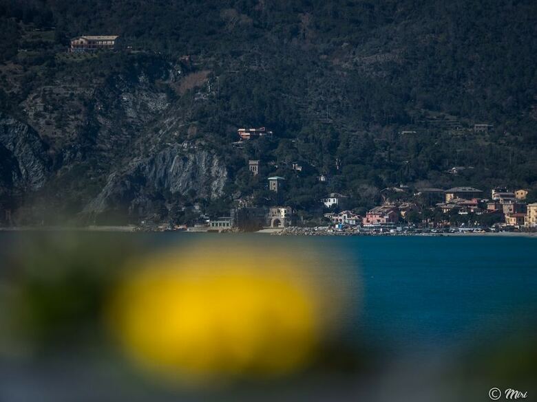 Apartamento La Torretta Dei Merli With Views