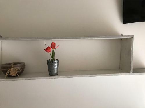 Bed & Breakfast Fleur Blanche