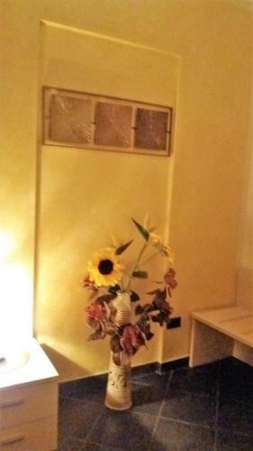 Hostal Affittacamere Arabafenice