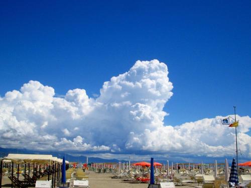 Pineta Di Viareggio