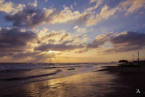 Camping Viareggio
