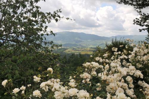 Apartamento Villette In Mugello