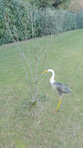 Agroturismo Residenza Airone