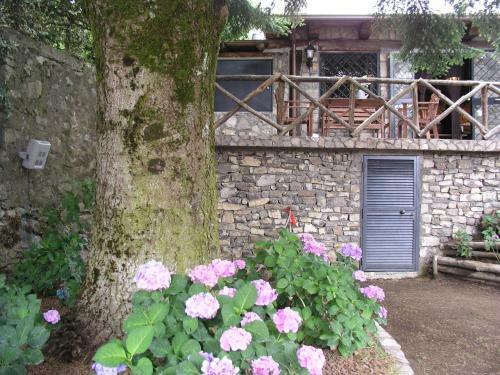 Villa Annamaria