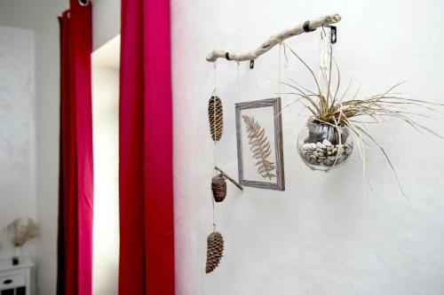 Bed & Breakfast Vicoletto Dell'aria