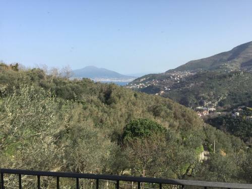 Agroturismo Il Casale Del Mirto