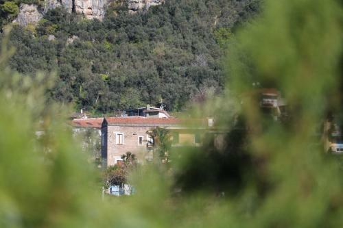 Apartamento Appartamento Vico