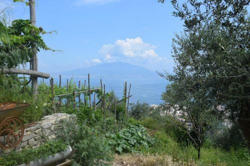 Agroturismo Villa Rosa Di Nonna Rosa