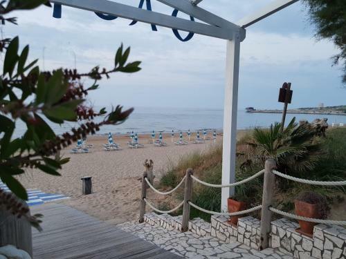 Villaggio Camping Oasi