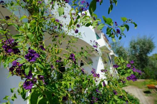 Baia Degli Aranci Camping Village