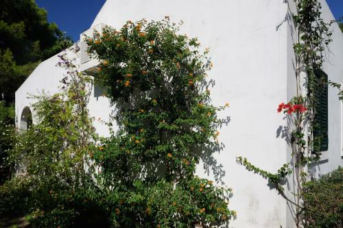 Baia Degli Aranci Camping Village