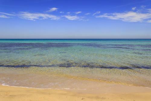 Apartment In Torre Canne/kampanien 35505