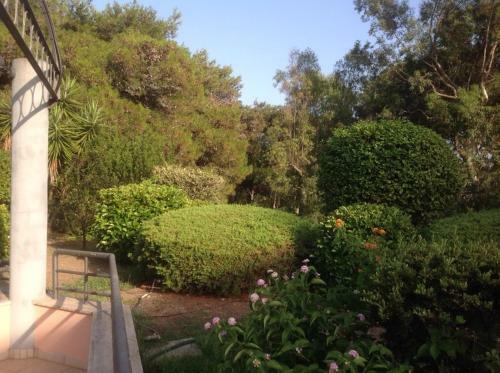 Apartamento Appartamento Parco Dei Pini