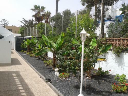 Apartamentos Erika - Adults Only
