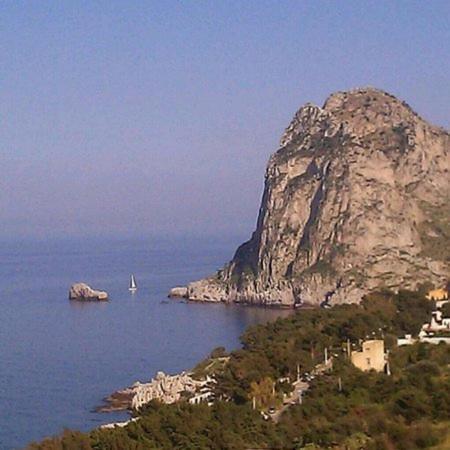 Apartamento Casa Nin�
