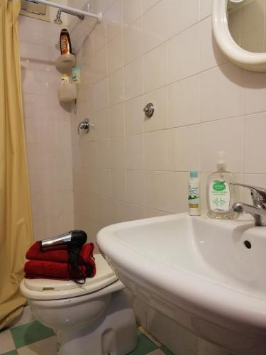 Apartamento Casa Nin�