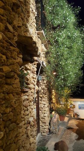 Apartamento Casa Nin�