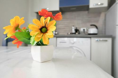 Apartamento Appartamenti Duec Uno