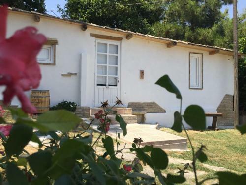 Il Noceto B&B