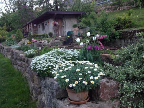 B&B Doss Trento