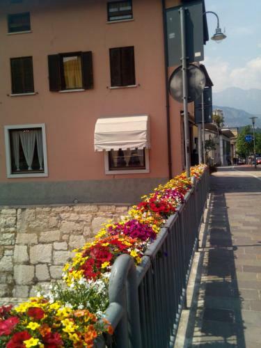 Hostal Alloggio Ponte Dei Cavalleggeri