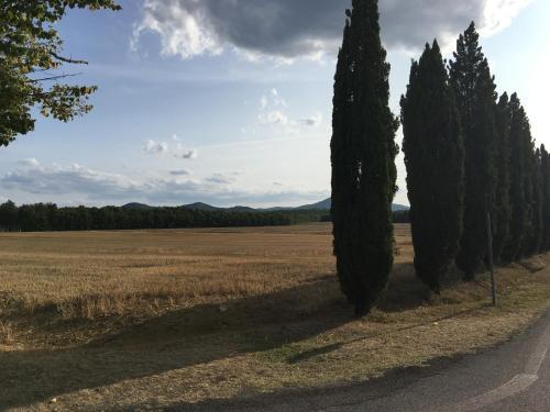 Podere Poggiolino