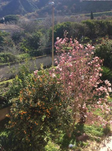 Bed & Breakfast Villa Saturno