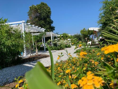 Hotel Il Borghetto Creative Resort