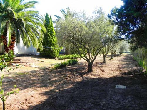 Villa Eleonora