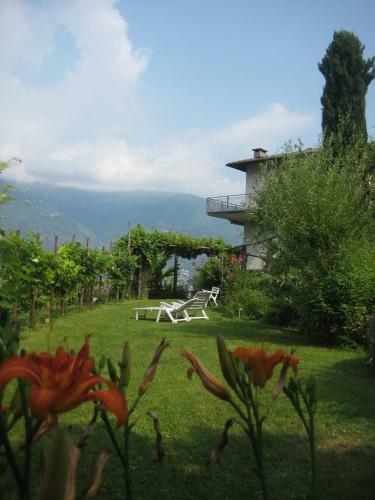 Casa Lucertola
