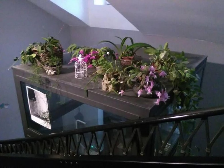 Attic Hostel Torino