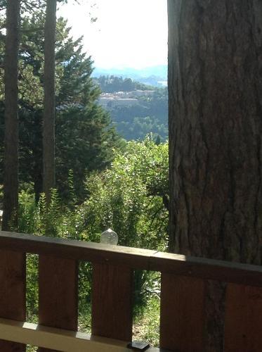 Camping Pineta