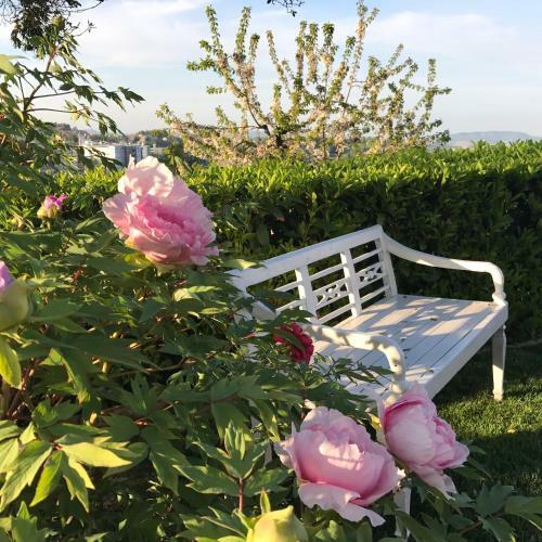 Residenza Ambrogi B&B