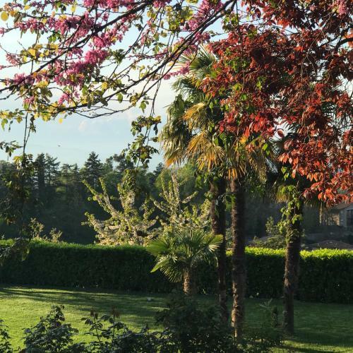Residenza Ambrogi B&B