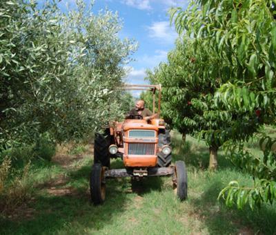 Agroturismo Agriturismo Il Tripesce