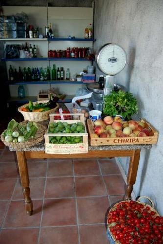 Agroturismo Agriturismo Il Tripesce
