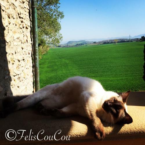 B&B Podere La Pace