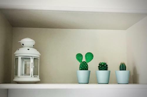 Apartamento Greenhouse 43