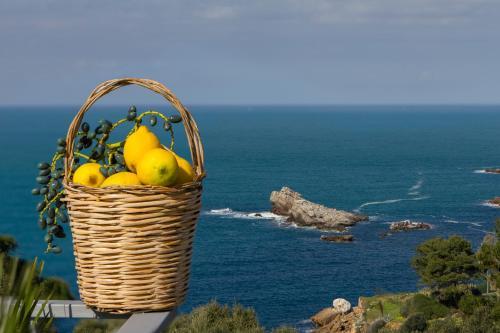 Zabb�ra B&B