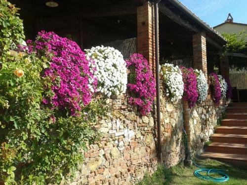 Agroturismo Borgo Fajani