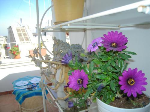 Bed & Breakfast B B Casa Dorsi