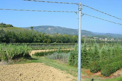 Serravalle Pistoiese Villa Sleeps 6 Pool Wifi