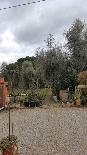 Bed & Breakfast Orto Degli Ulivi