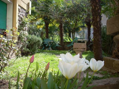 Hotel Albergo Marcella