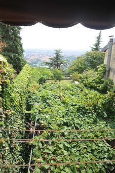 Agli Orti B&B