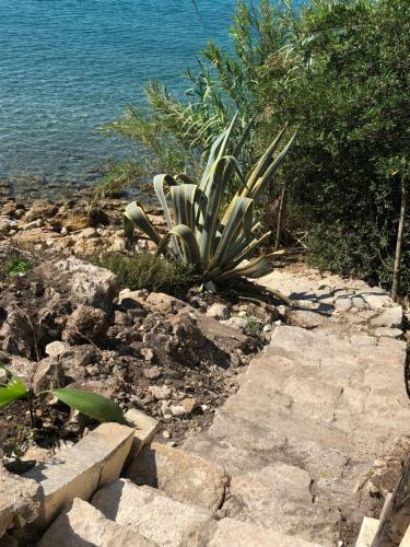 Oasi Sul Mare
