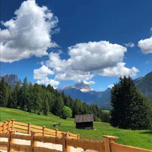Agroturismo Agriturismo Malga Pi�