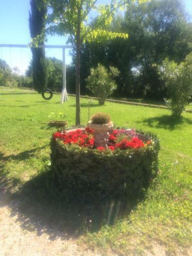 Bed & Breakfast Oasi Del Verde